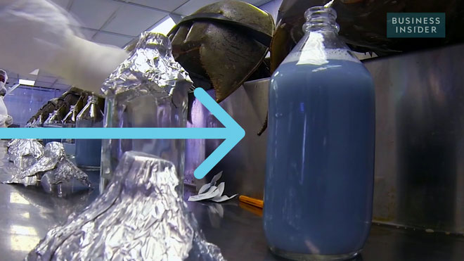 Picture 1 of Do you believe this blue water bottle costs ... VND 300 million / liter?