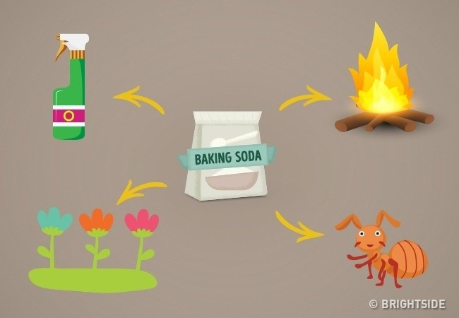 Picture 9 of Do you know how to use baking soda properly?