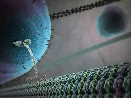 Picture 2 of Do you know what happy cells look like?
