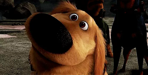 Picture 3 of Do your dogs often tilt their heads like this?  Why is that?