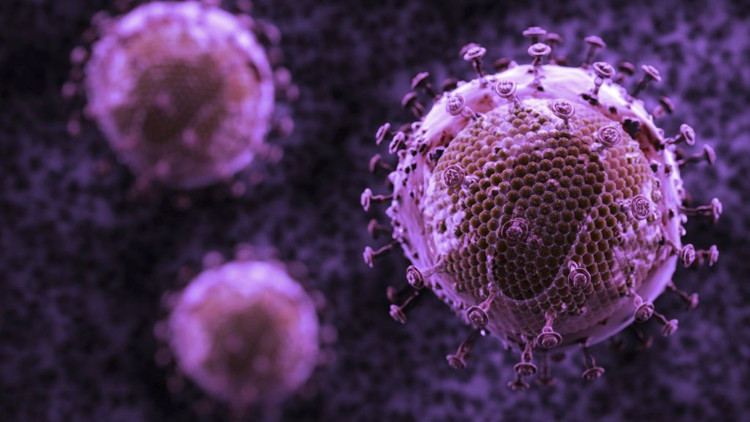 Picture 3 of Doctors confirm: HIV / AIDS can be completely cured