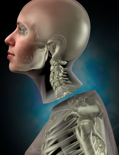Picture 1 of Does human consciousness exist when the head leaves the neck?