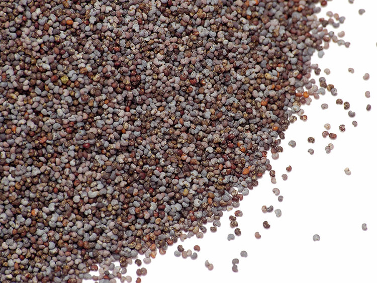 Picture 1 of Does poppy seed make you escape a drug test?