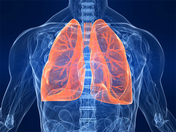 Picture 1 of Does the lungs heal itself if we quit smoking?