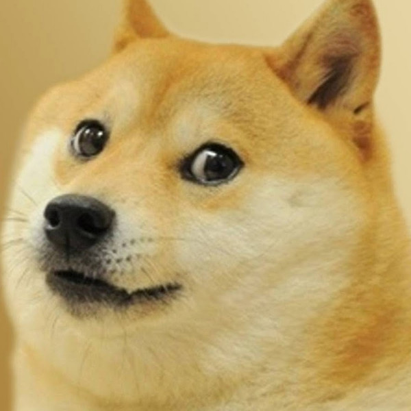 Picture 1 of Dogs can really understand people's emotions