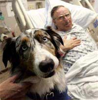 Dogs help reduce stress for heart failure patients images 1
