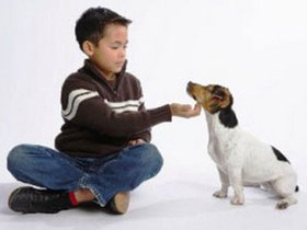 Picture 1 of Dogs increase the risk of asthma in young children