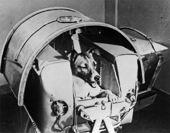 Picture 2 of Dogs 'myths' in world history