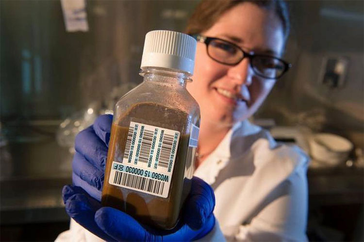 Picture 4 of Donation and transplantation of human waste in medicine - jokes but 100% true chemistry