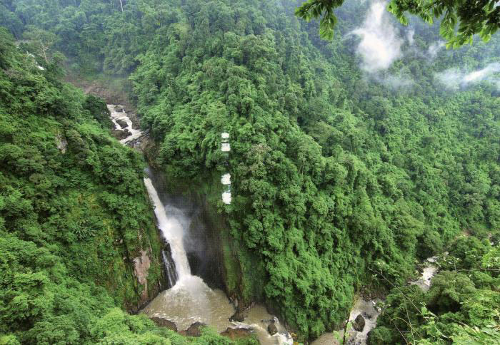 Picture 4 of Dong Phaya Yen - Khao Yai forest complex