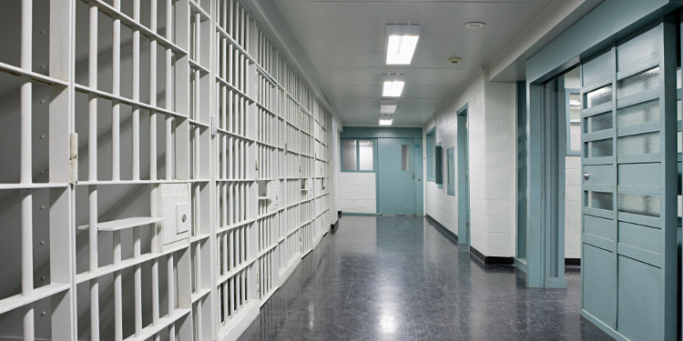 Picture 4 of Don't say the nature is hard to move, the prison can change people's personality
