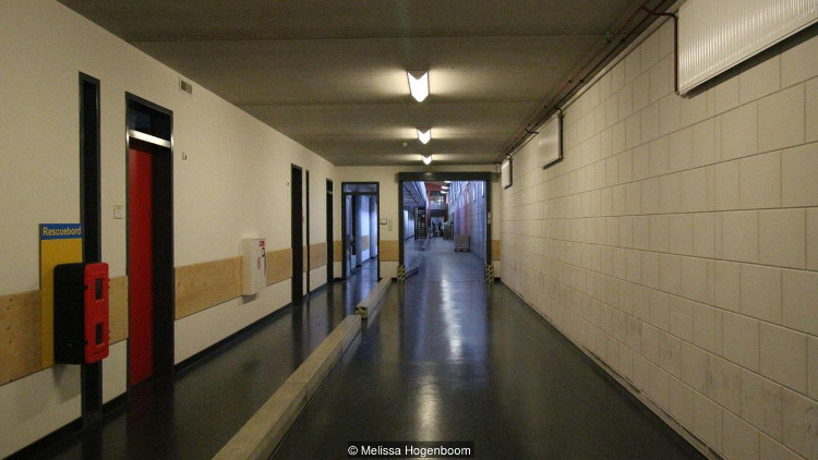 Picture 5 of Don't say the nature is hard to move, the prison can change people's personality