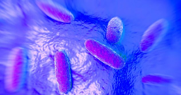 Picture 3 of Doubt about diseases originating from ... alien
