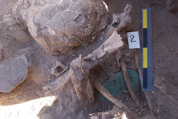 Picture 4 of Dozens of tombs containing hundreds of 1,200-year-old ancient mummies were discovered in Peru