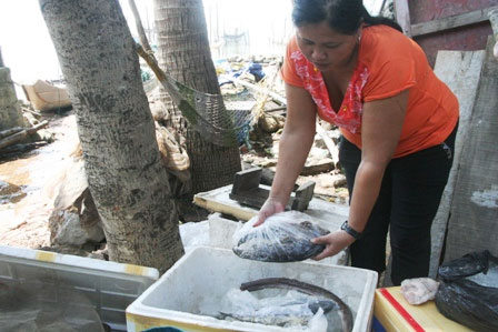 Picture 3 of Dozens of tons of fish died suddenly due to sweetened water