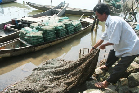 Picture 4 of Dozens of tons of fish died suddenly due to sweetened water
