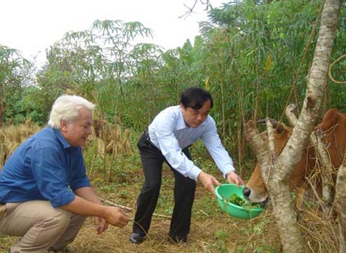 Picture 1 of Dr. Nguyen Van Khai: