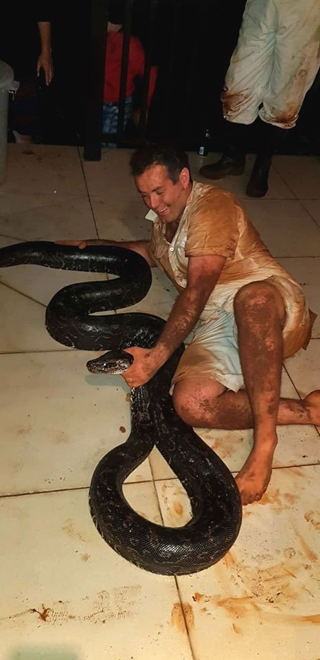 Picture 4 of Dramatic python screen 'crisis' more than 4m, workers caught being '3rd party' fierce attack