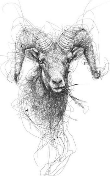 Picture 12 of Draw beautiful pictures from scribbles