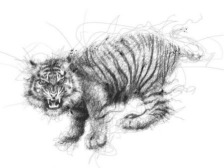 Picture 13 of Draw beautiful pictures from scribbles