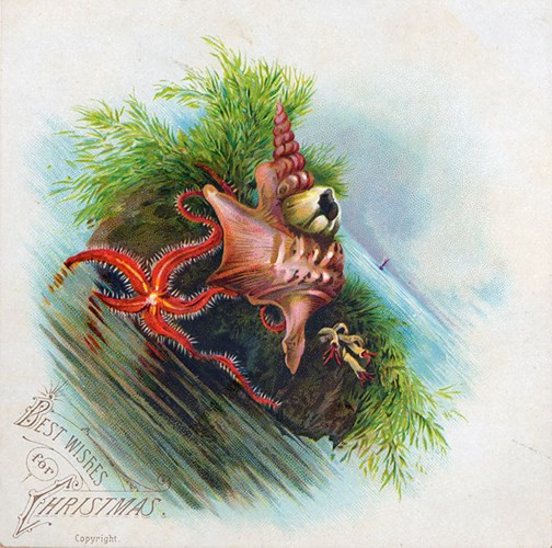Picture 12 of Dreadful with the 19th century horror Christmas card