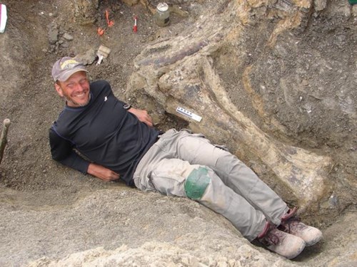Picture 2 of Dreadnoughtus long neck dinosaurs weigh only 40 tons