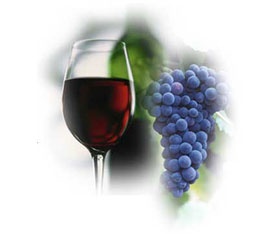 Picture 1 of Drinking wine helps fight blood infections