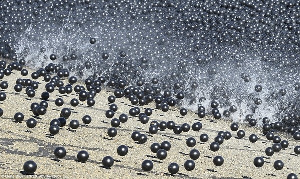 Picture 4 of Drop 96 million plastic balls into the lake to combat drought
