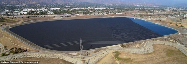 Picture 5 of Drop 96 million plastic balls into the lake to combat drought