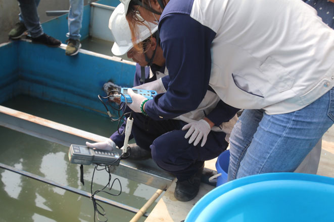Picture 4 of Drop Japanese Koi fish into To Lich River and West Lake to demonstrate water quality