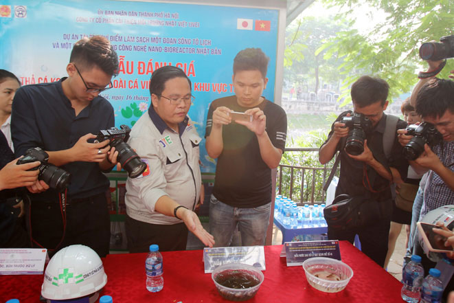 Picture 7 of Drop Japanese Koi fish into To Lich River and West Lake to demonstrate water quality