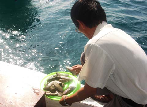 Picture 1 of Drop thousands of varieties of seafood you overboard