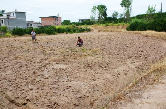 Picture 1 of Drought in Spain is the most serious in 150 years