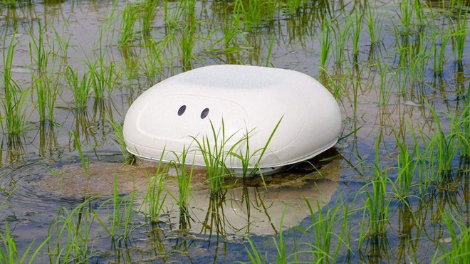 Picture 1 of 'Duck' robot helps Japanese farmers to kill grass without chemicals