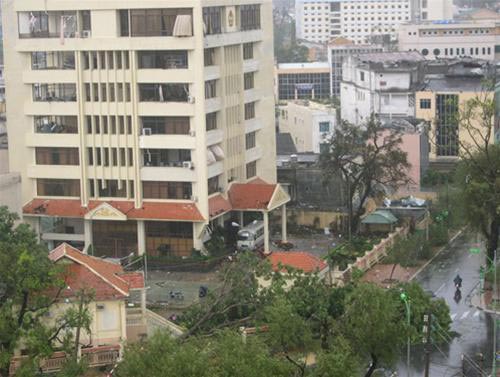 Picture 5 of Durian storm: Severe damage in Phu Quy island district