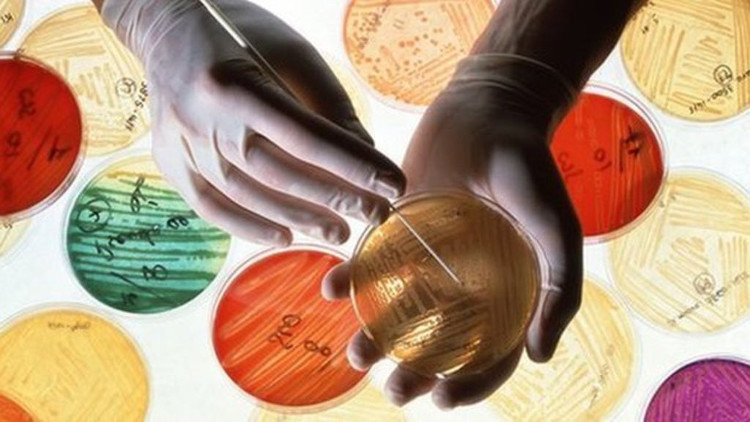 Picture 3 of During 20 years of administering antibiotics, we still fail to fight the virus