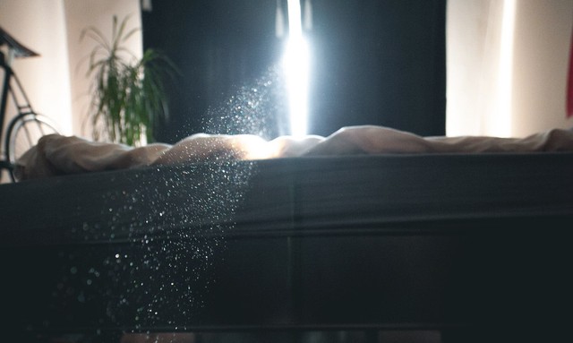 Picture 2 of Dust particles will become