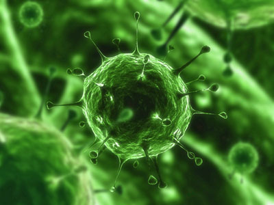 Picture 1 of 'Dye' virus to track them in the body