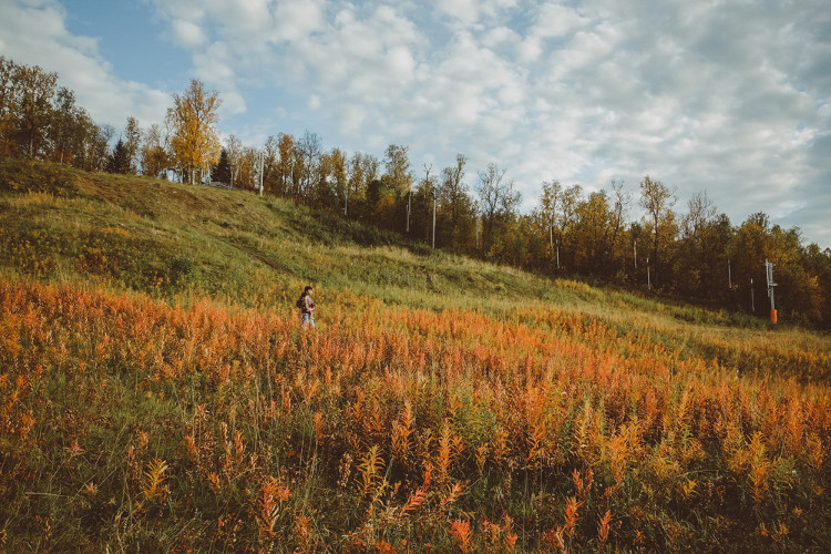 Picture 10 of Early fall in the Norwegian forest