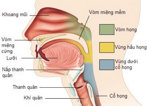 Picture 1 of Early warning signs of throat cancer