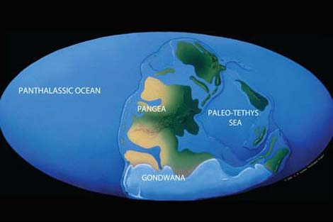 Picture 10 of Earth History through images (Part I)