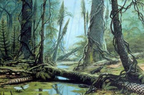 Picture 11 of Earth History through images (Part I)
