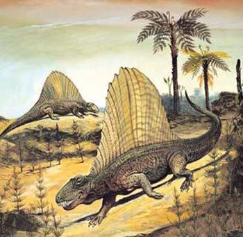 Picture 13 of Earth History through images (Part I)