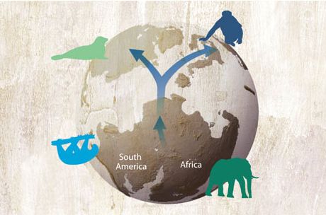 Picture 8 of Earth History through images (Part II)