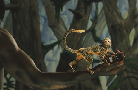 Picture 9 of Earth History through images (Part II)