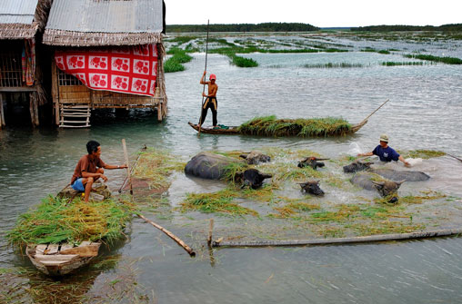 Picture 1 of Earth increased 4 degrees C, Vietnam lost enough sugar