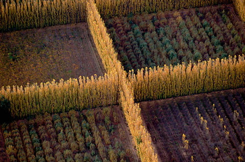Picture 10 of Earth is amazing, seen from above