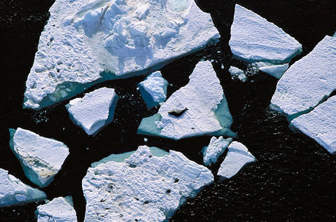 Picture 9 of Earth is amazing, seen from above