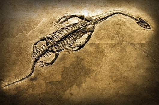 Picture 5 of Earth prospect when dinosaurs existed to modern times