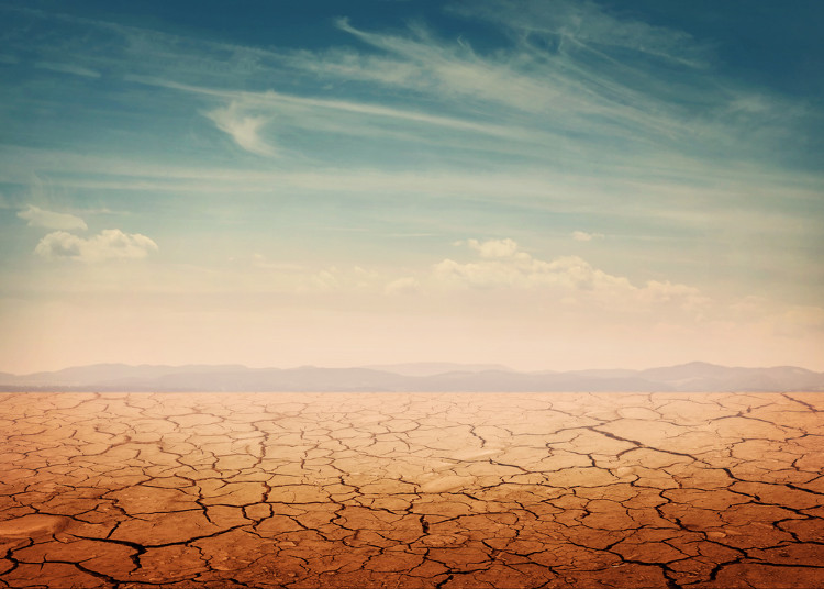 Picture 2 of Earth will have a lot more Sahara desert if this trend continues to happen